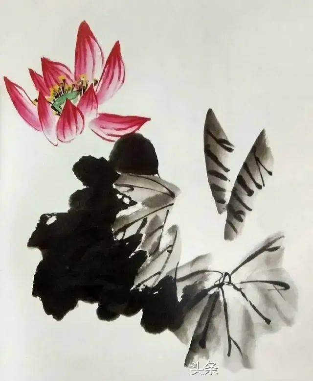 中国画之荷叶,荷花的组合画法