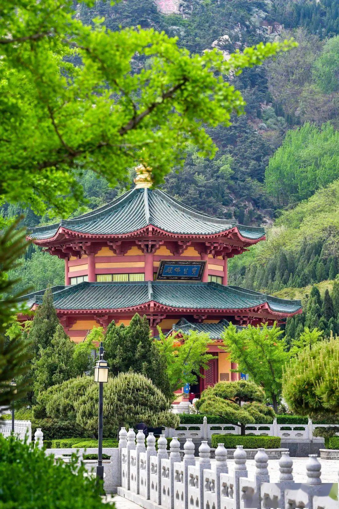 接下来的烟台,春和景明67→67_景区_公园_芝罘区