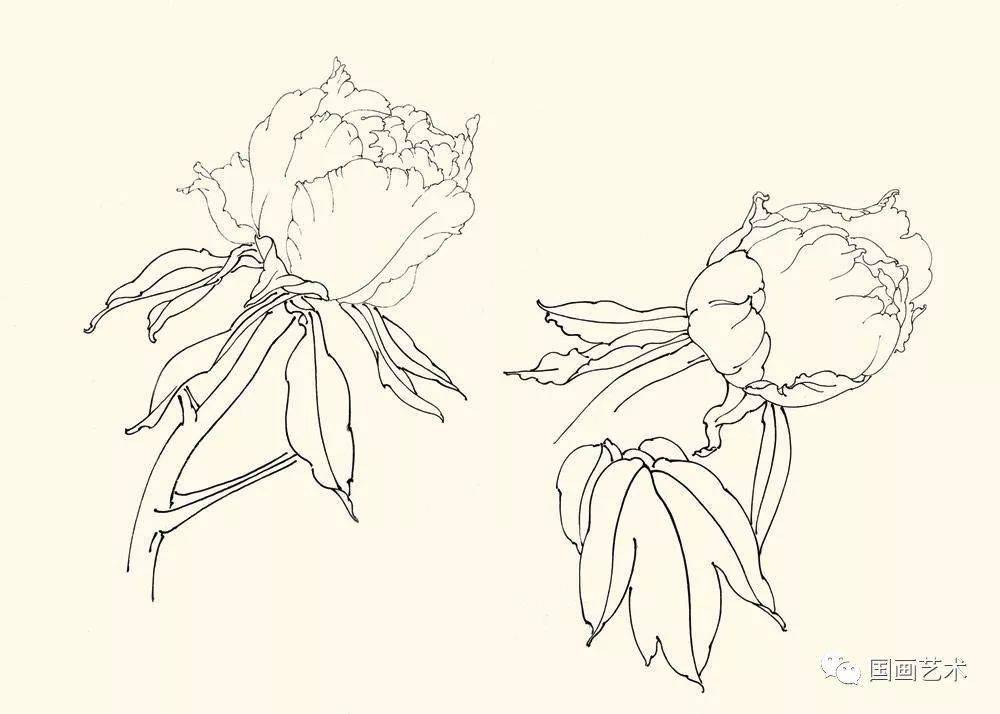工笔名家邹传安画牡丹芍药,典雅细腻(内附教程)_花鸟_中国美术馆_艺术