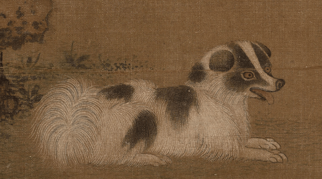 古人一般怎么给宠物命名