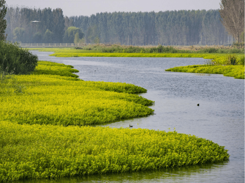 【全程自驾】2024-03-27寻梦台儿庄 漫游微山湖美食休闲自驾3日游