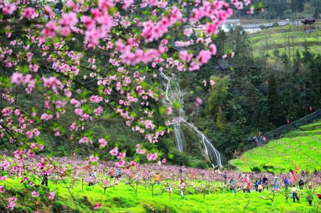 桃花小镇景点大全图片