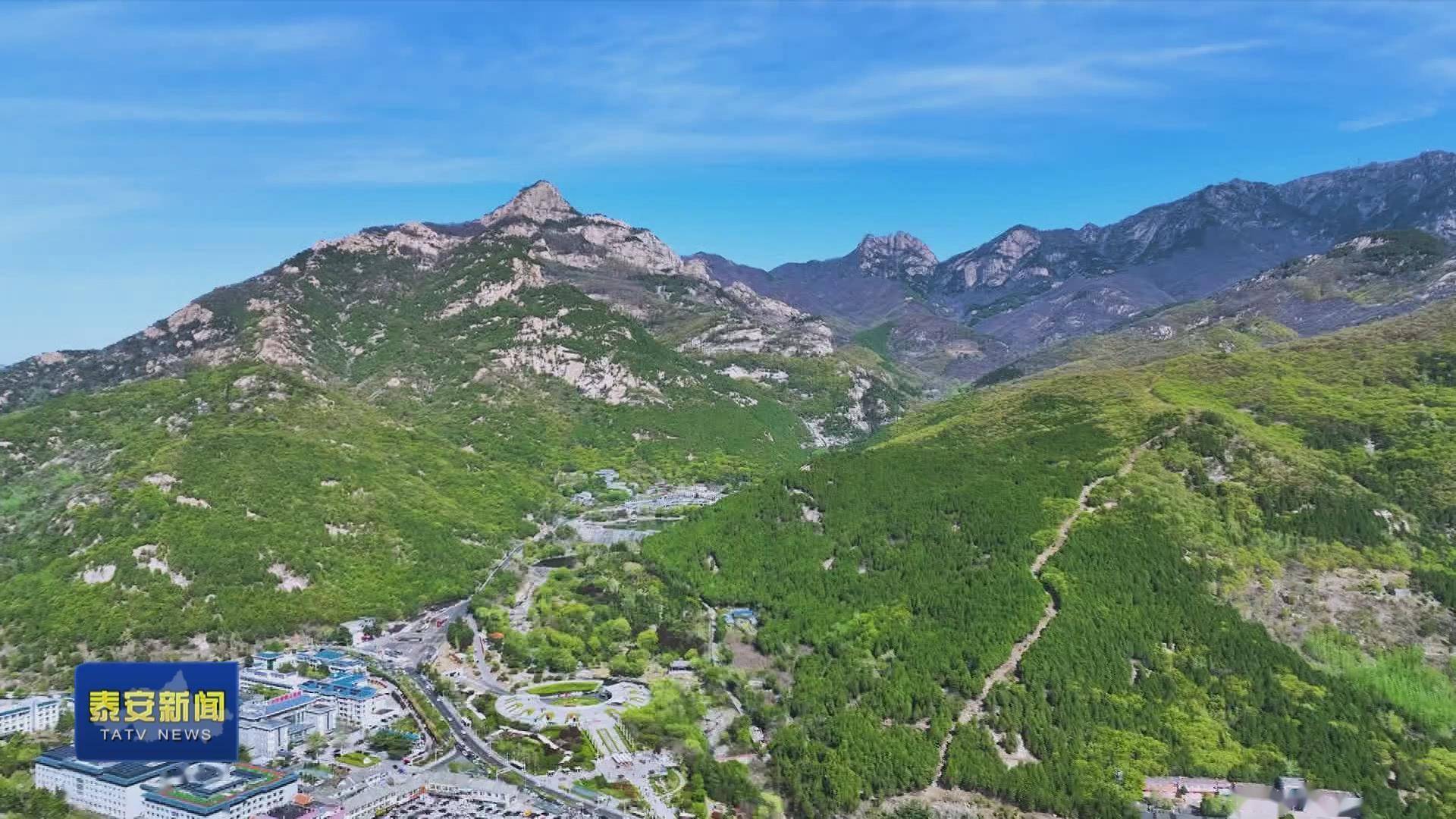 泰安市林业局造绿增绿护绿建设美丽泰安