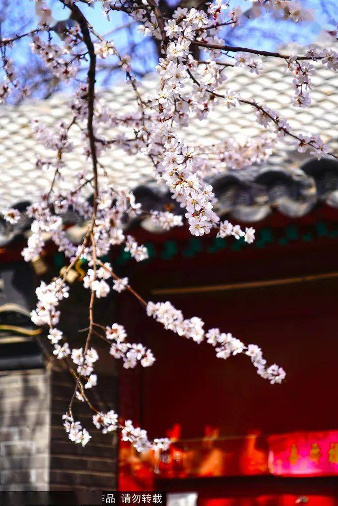 春日活动精彩纷呈一起过春天吧