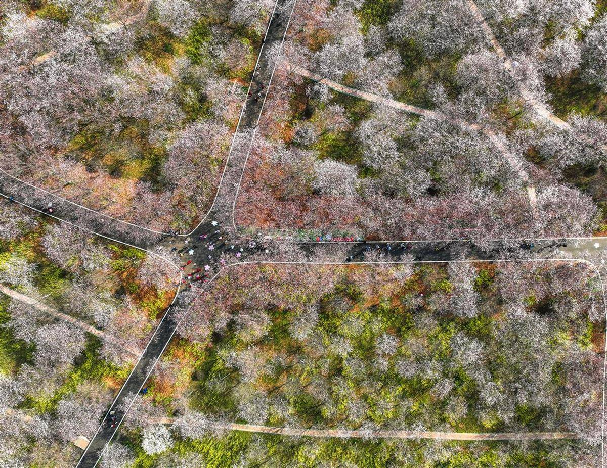 通讯员 田勇 曾媛摄影记者 邹斌