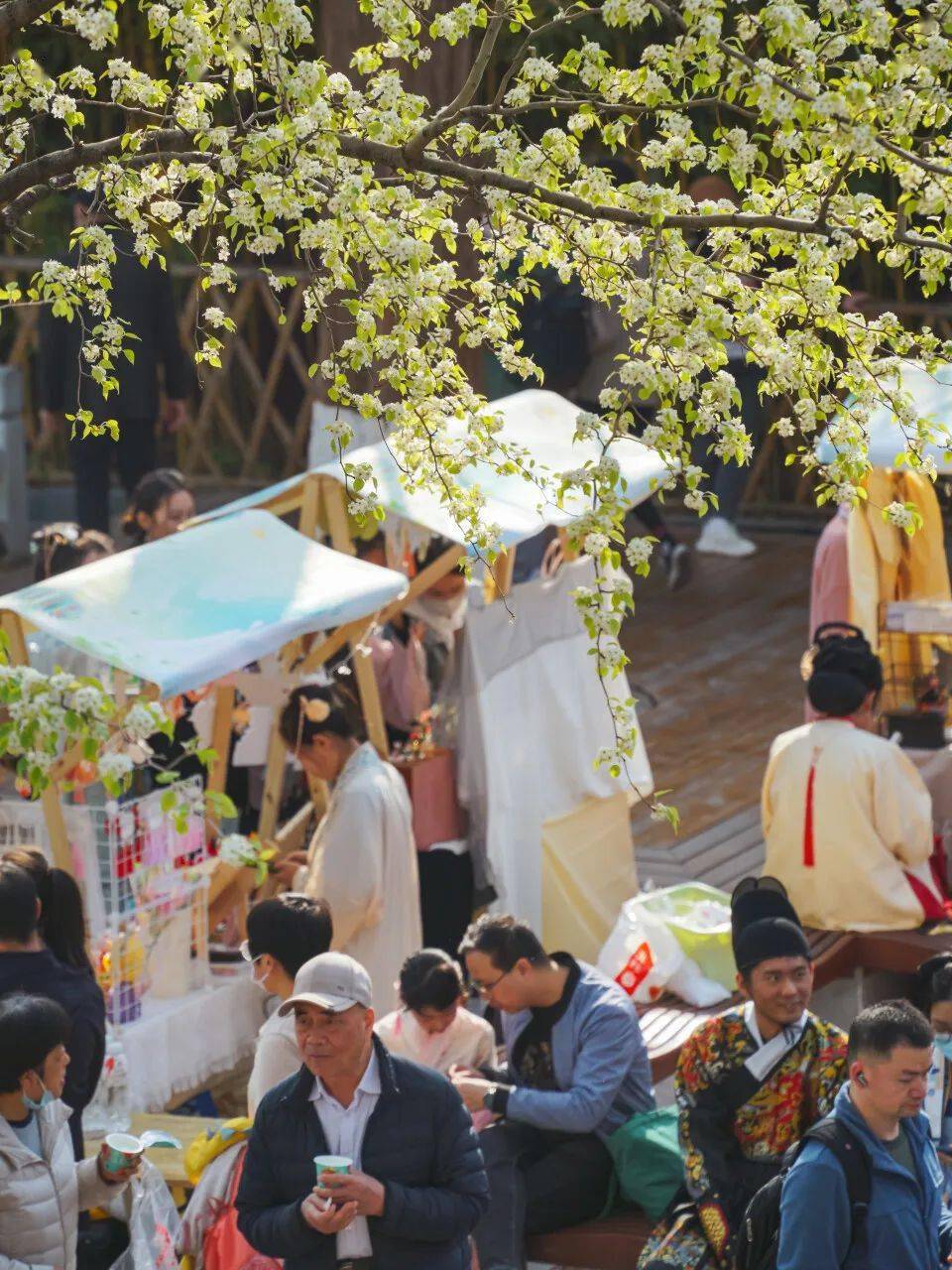 花朝节最全攻略来了明天开幕