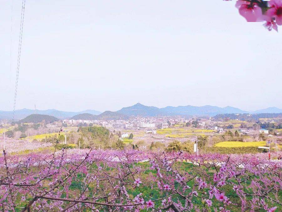 校园动态春日好时光一起趣春游双凤镇小学组织开展春游活动