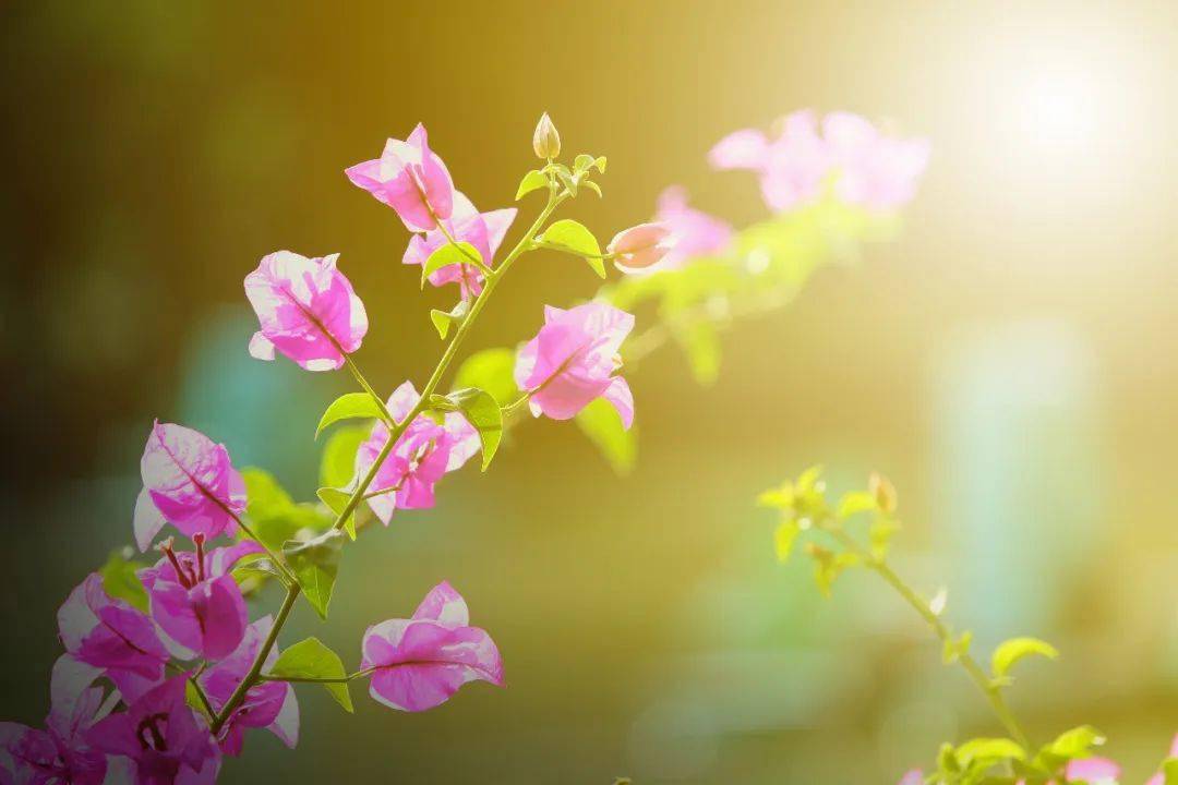 诗词中最美的30首短诗首首经典谁读了都会心醉