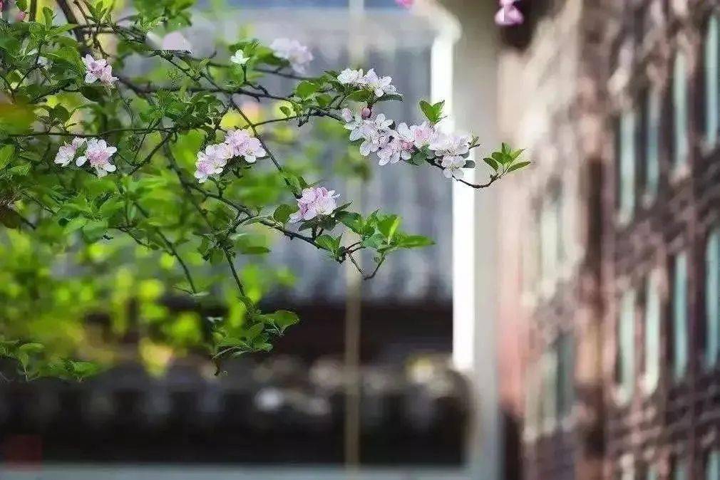 以对;一别两宽,互不打扰,不谈亏欠,不负遇见,就像有人说的:微信删除