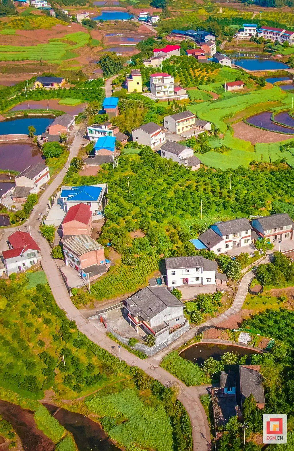 自贡和美乡村入画来