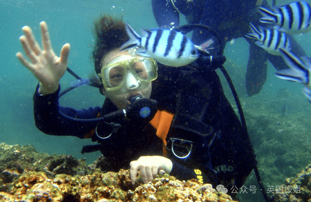 三亚游客自曝潜水时被教练恶意摘面罩关氧气国内外消失的游客竟不是