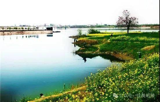 67签约作家首欣泔河印象