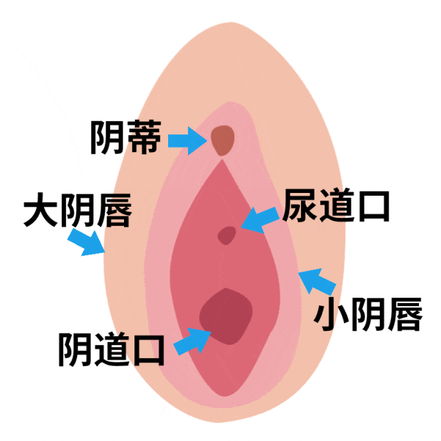 来自搜狐网