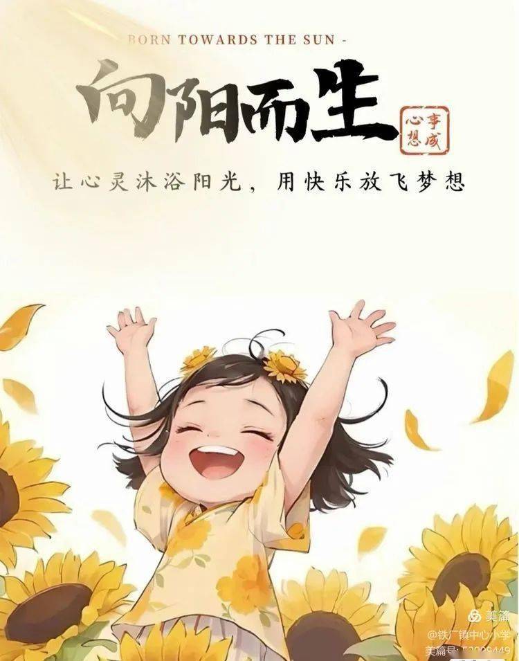 当鲜花绽放于阳光之下