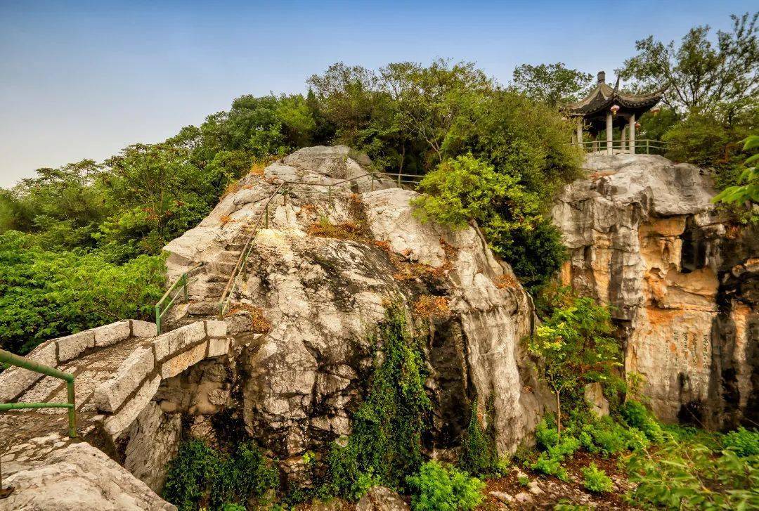 油菜花已开,等你来入镜~_三山岛_门票_玉兰