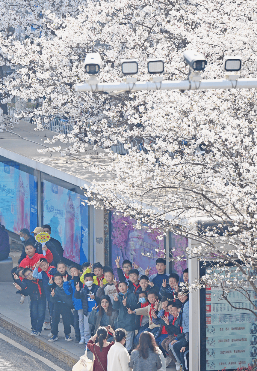 西苑公园_特色_专线