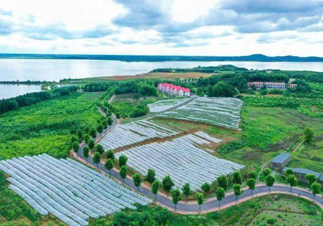 全国示范全市唯一江夏上榜