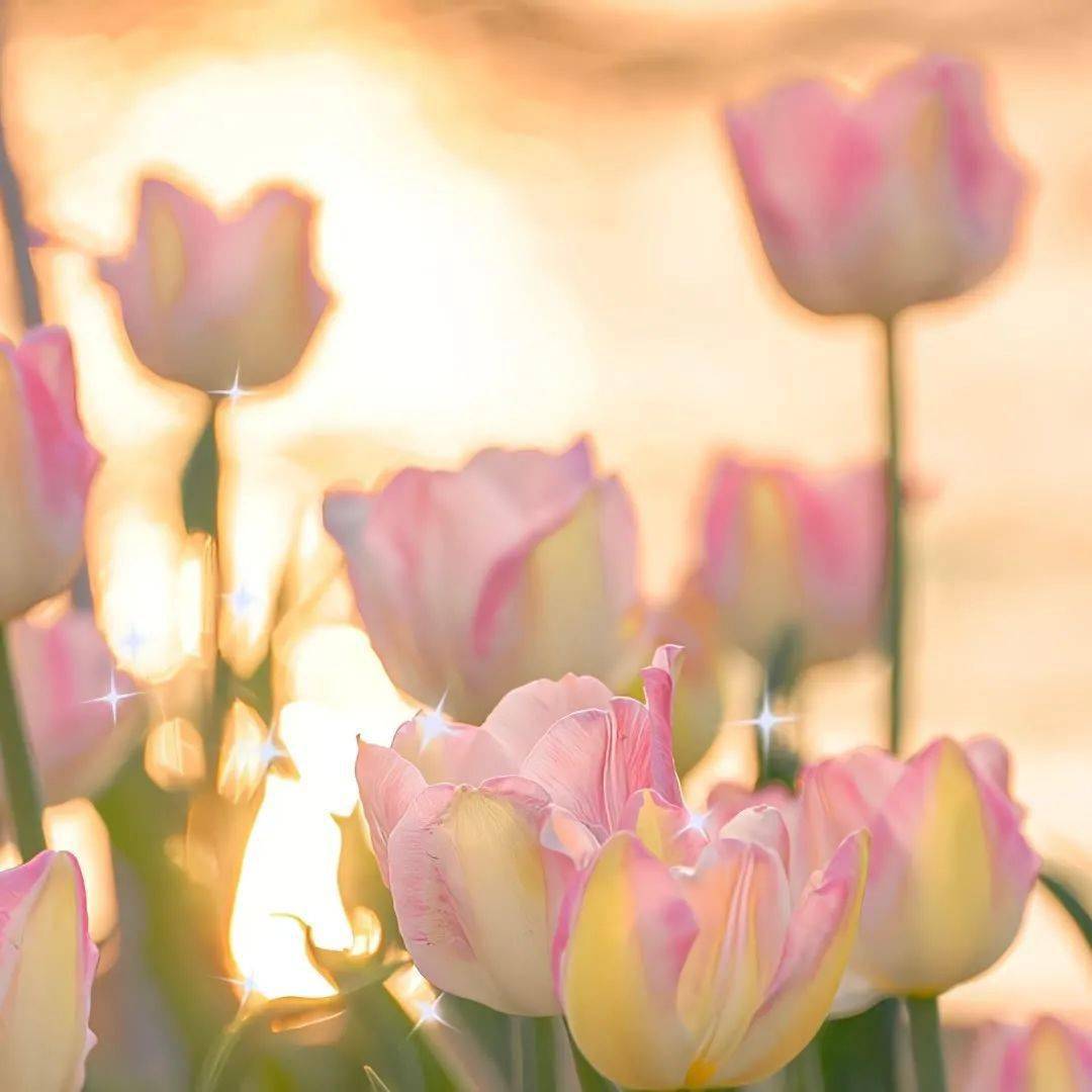 背景图 | 是好看的朋友圈背景图