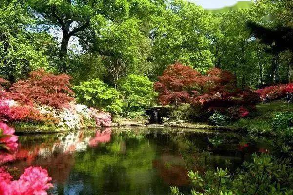 世界上最美的十大花园_品种_garden_园艺