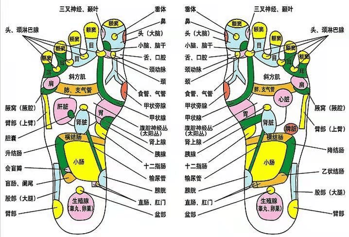 睡前多按揉