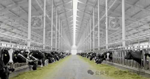 现代牧业携手国策续写乡村振兴新篇章