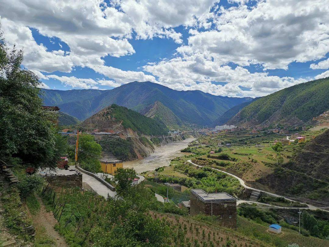 靠山吃山,山烧没了,松茸也没了_雅江县_山火_火场