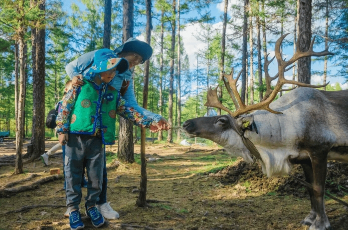 在北纬50上寻找牧草王国从黑山头一路狂飙到边境满洲