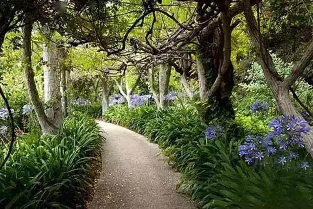 世界上最美的十大花园_品种_garden_园艺