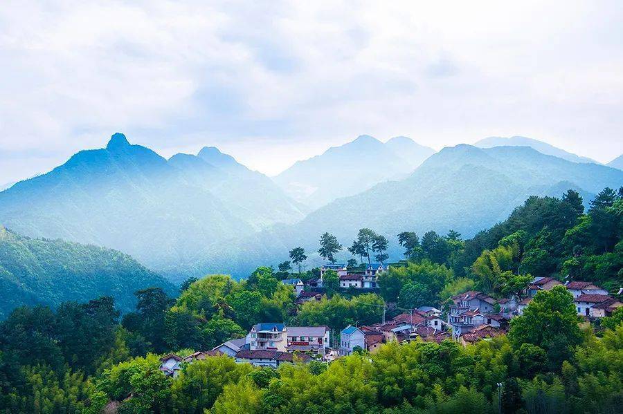 春游丽水:汤公古道,遂昌徒步的天花板_唐山_周坑_云岭