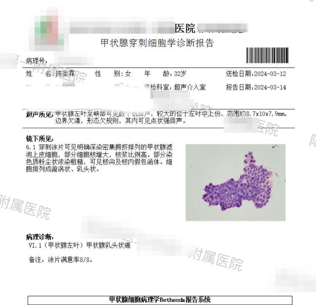 陈美霖长期处于抑郁状态中,2023年夏,因心肌炎住院