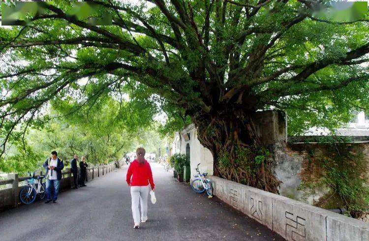 云溪山人游记籀园籀公祠温属图书馆温州教育史馆