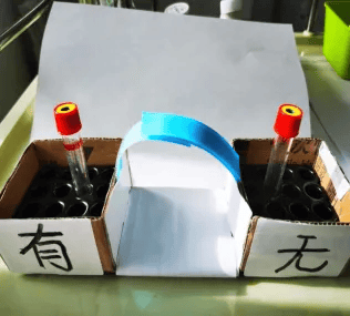 采血管凌乱摆放怎么办看美小护们大显神通