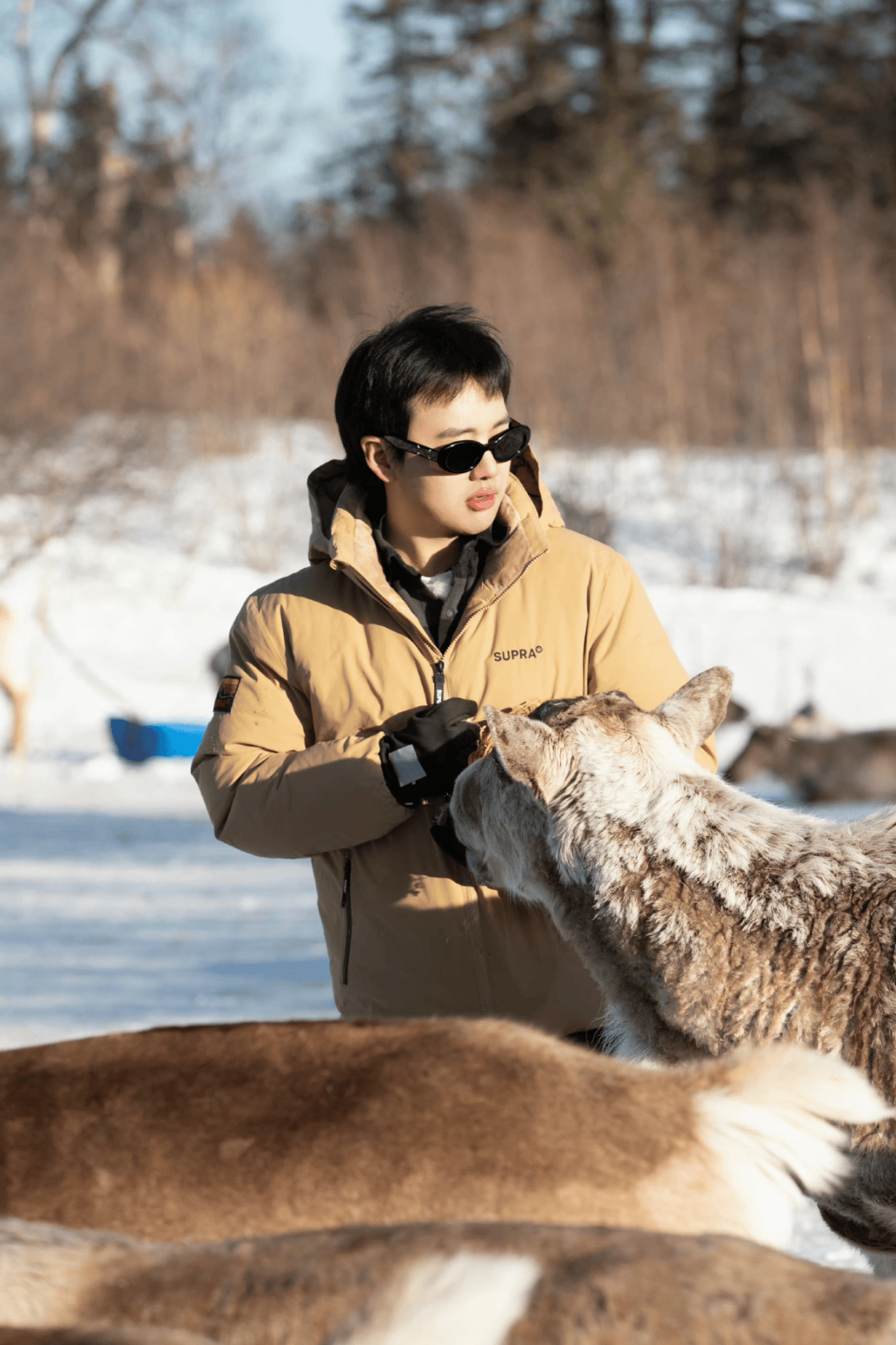 如何玩转延边雪岭~看郭麒麟 毛不易 魏大勋在空旷的雪地上奏响雪圈三
