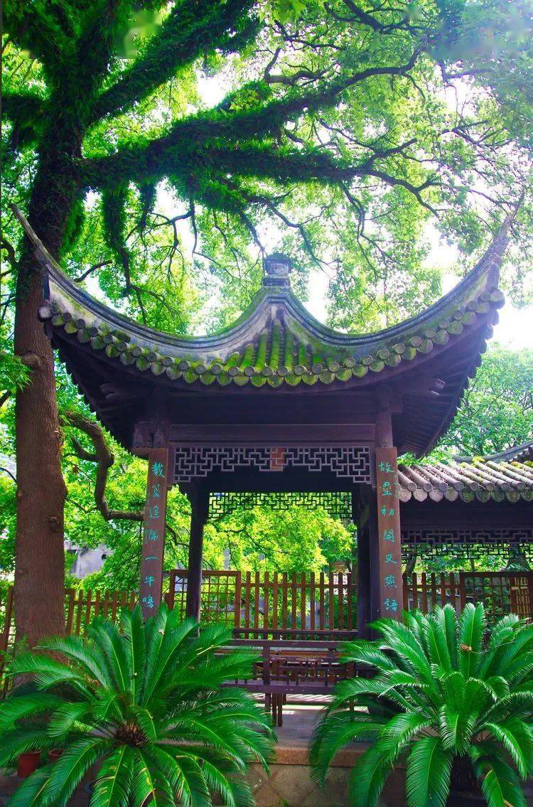 云溪山人游记籀园籀公祠温属图书馆温州教育史馆