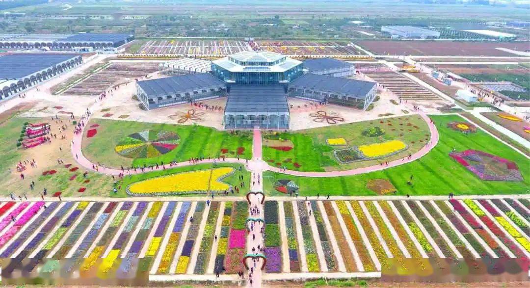 活动_湾区_珠海