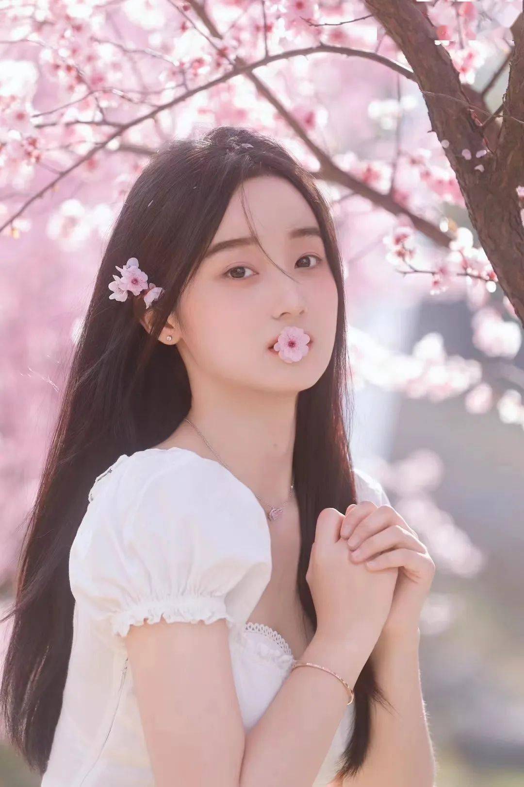 绽放的花儿同样生机勃勃,夺目美丽一起漫步校园定格春日色彩图:徐静雯