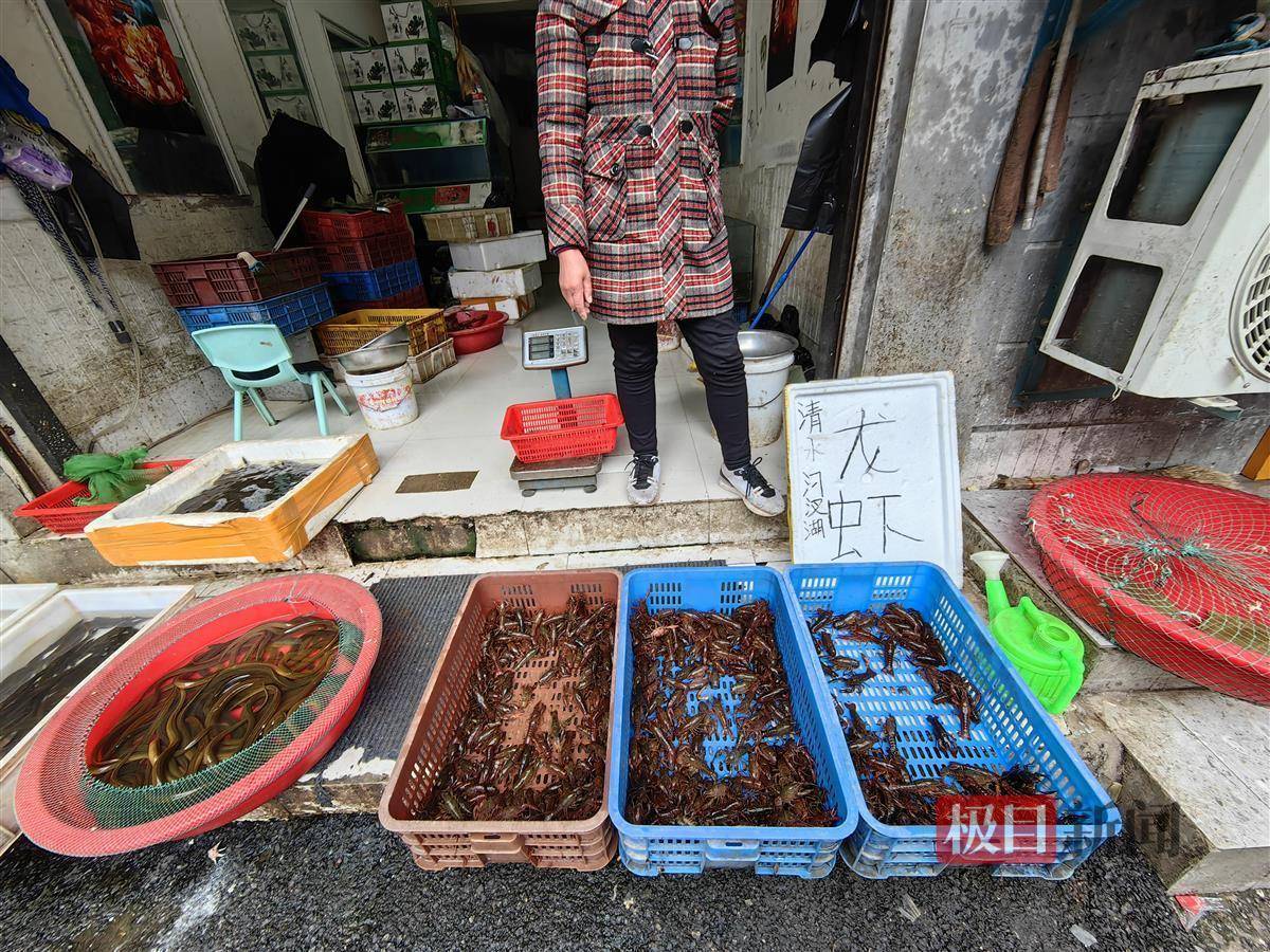 每个商户卖的小龙虾数量也不算多,最低也是20元一斤,算得上是今年春天