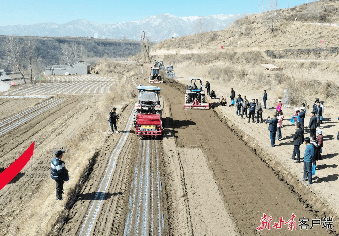 省媒看临夏积石山油菜生产全程机械化助群众增产增收