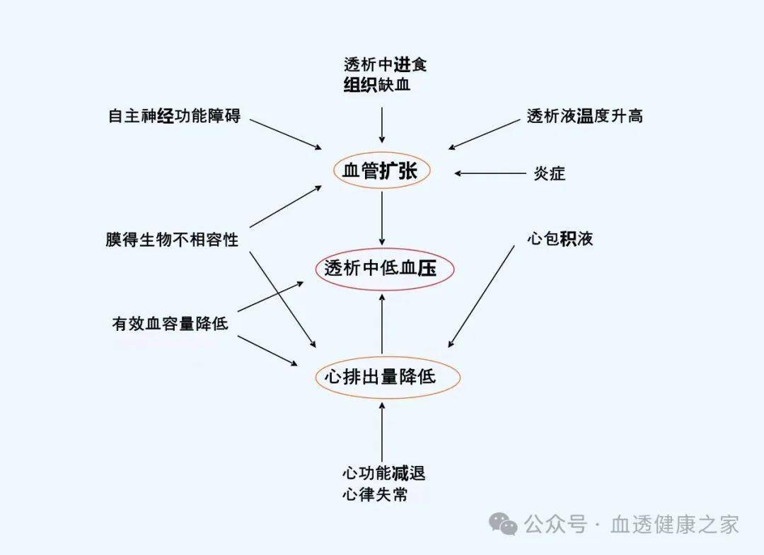 透析中会低血压?这些知识你要知晓!