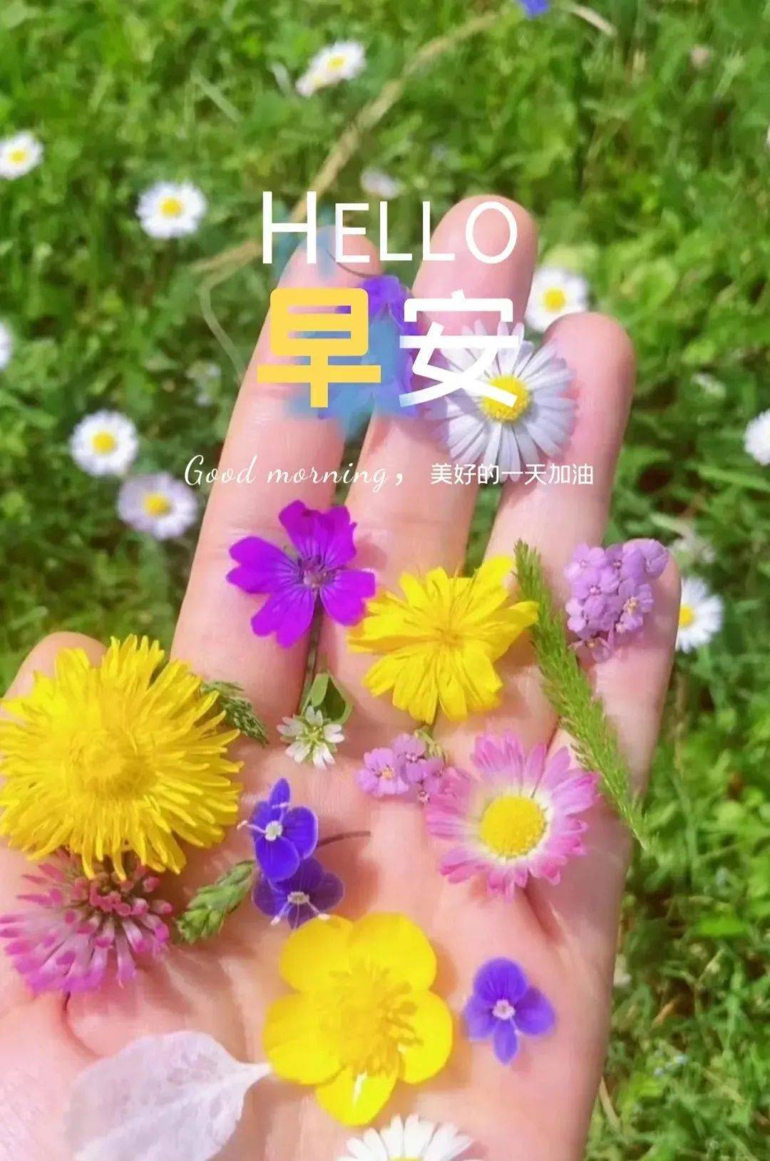 早安心语,愿我们彼此珍惜,久处不厌