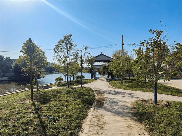 兴化市戴南镇徐唐村十里长河景色美