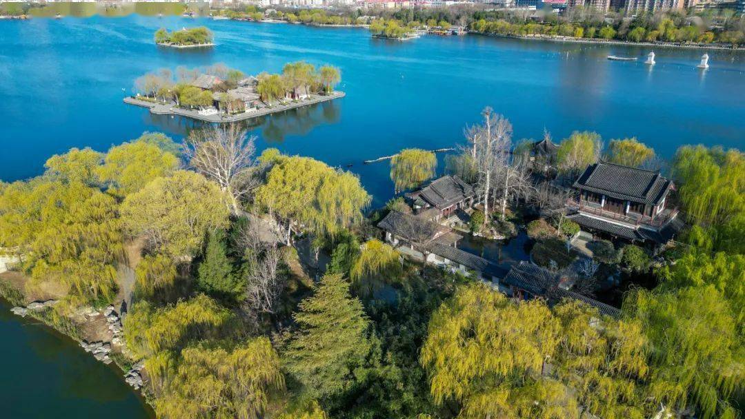 当课文中的春和景明走进大明湖