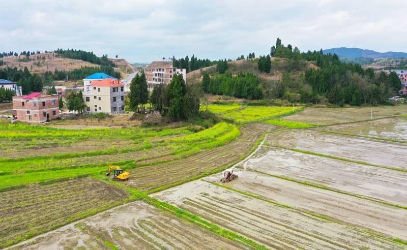 新田:春花香 耕田忙(组图)_新田县_刘贵雄_蒋文慧