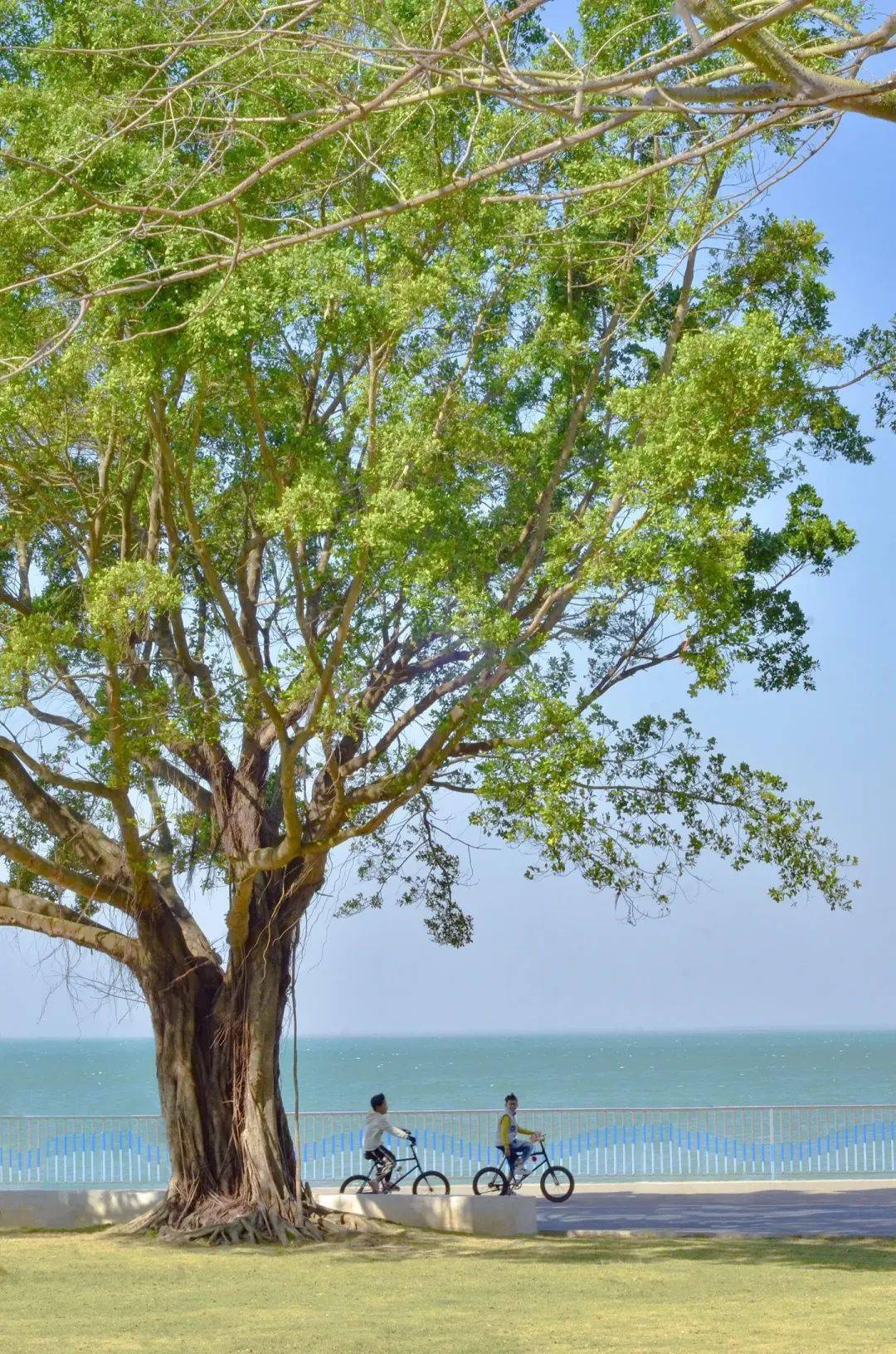 北海是影视创作外景地的天堂每一帧都是大片级别的美