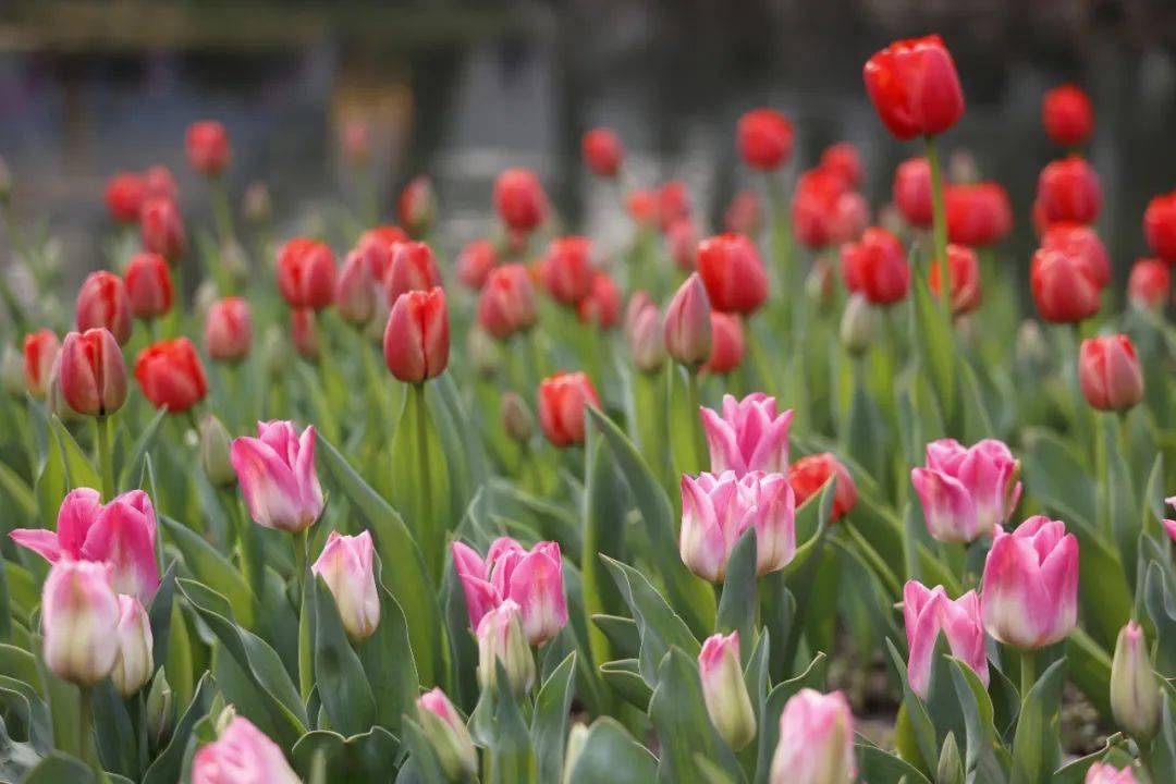已影响杭州9级雷雨大风冰雹今晚下班后务必小心