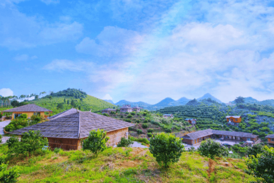 【代表风采】马国威:不忘初心践使命 服务群众显担当_发展_塘村_村民