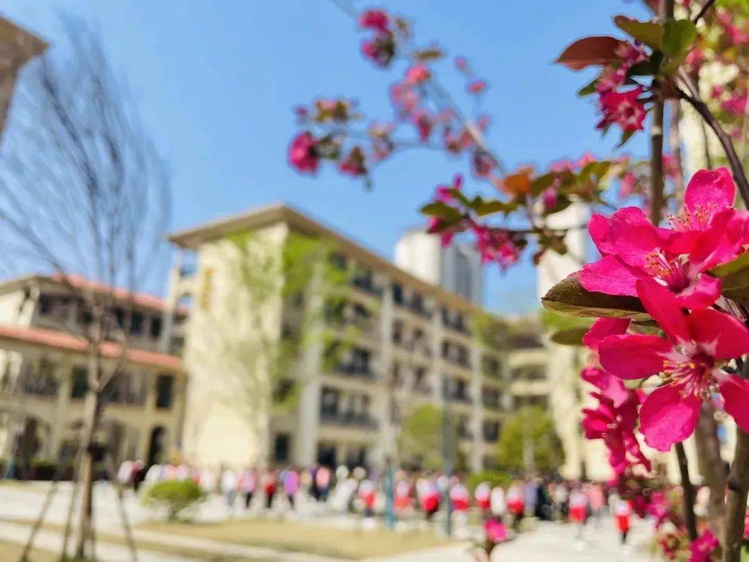 相互转告宁乡这所学校更名