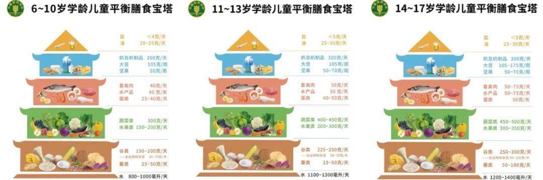 青少年平衡膳食宝塔图片