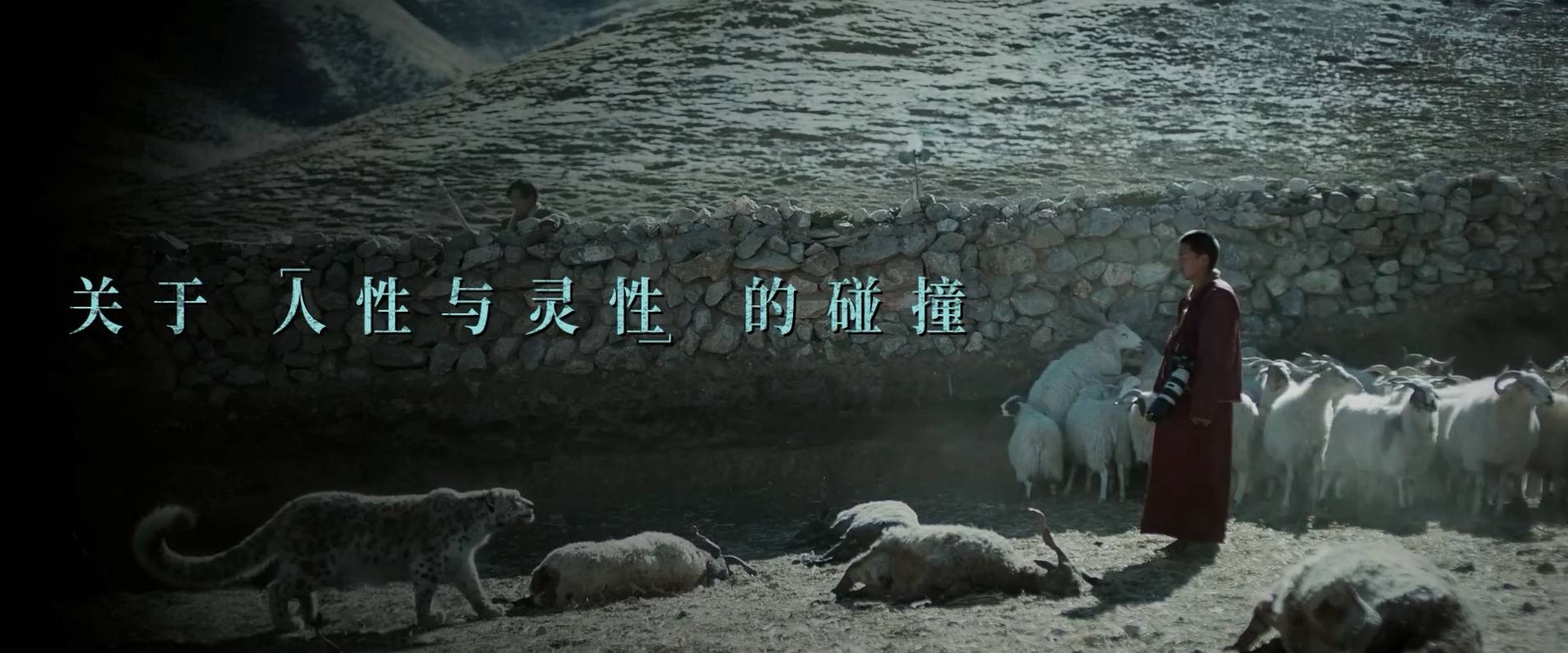 万玛才旦遗作《雪豹》发布导演特辑,用真实影像与世界对话_电影_创作_故事