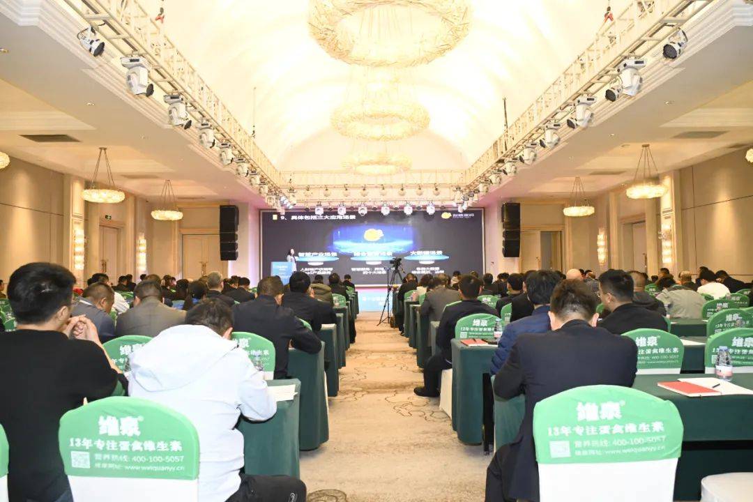 格局与应变未来规模蛋鸡发展与三种行业主流服务模式